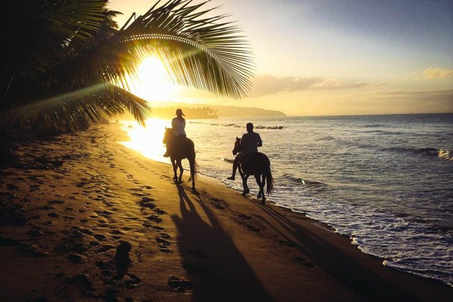 Horseback Beach Riding