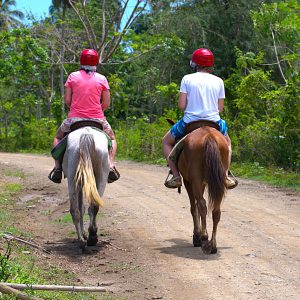 horseback riding at Playa Limón to exploring hidden beaches