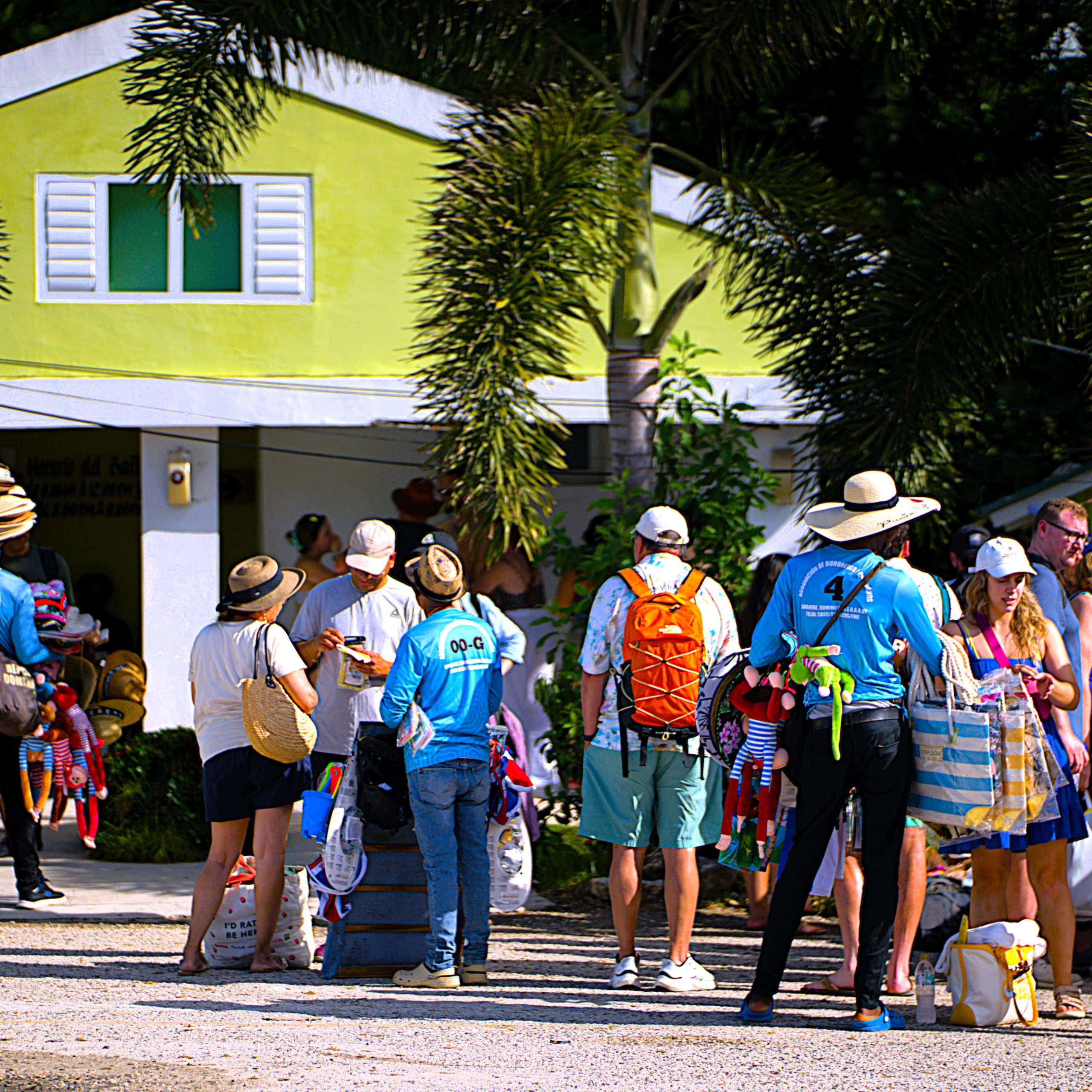 Experience Saona Island's Splendor