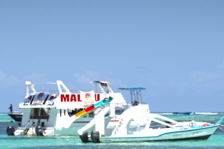 Malibu Party boat Punta Cana