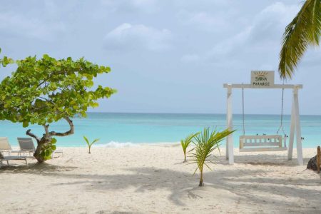 Playa Canto de la Playa Saona Island – Hidden Paradise Tour