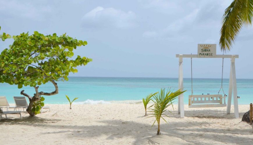🌴 Don’t just visit the Dominican Republic — experience it. Join Miches City Tours for a round-trip adventure from Miches to Playa Canto de la Playa, Saona Island, and discover why this hidden gem continues to captivate the hearts of those who find it. Book now at MichesCityTours.com or via WhatsApp at +1 (829) 731-2207 and make your tropical dream a reality.